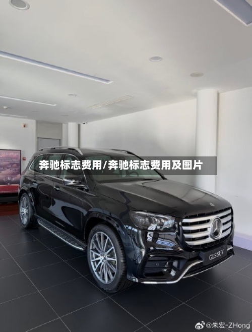 奔驰标志费用/奔驰标志费用及图片-第3张图片