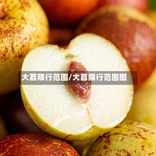 大荔限行范围/大荔限行范围图