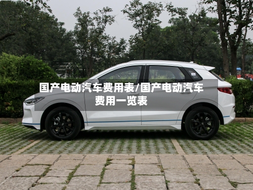 国产电动汽车费用表/国产电动汽车费用一览表