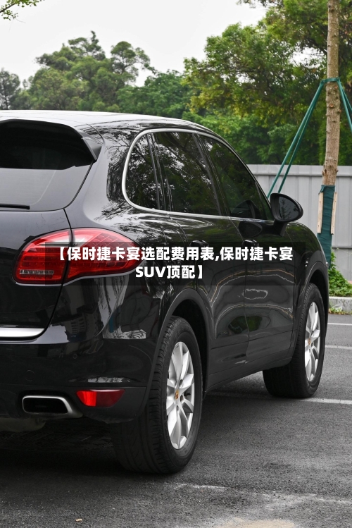 【保时捷卡宴选配费用表,保时捷卡宴SUV顶配】-第2张图片