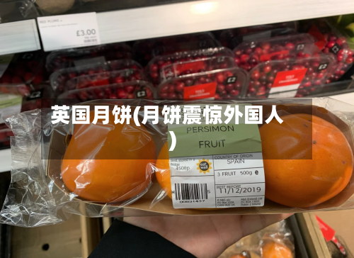 英国月饼(月饼震惊外国人)
