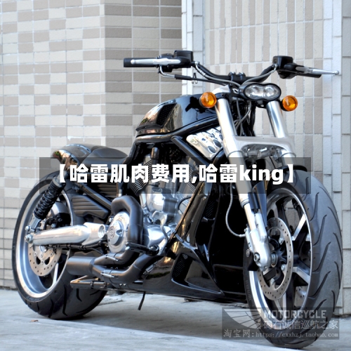【哈雷肌肉费用,哈雷king】-第2张图片