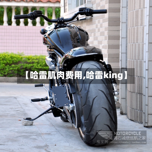 【哈雷肌肉费用,哈雷king】-第3张图片