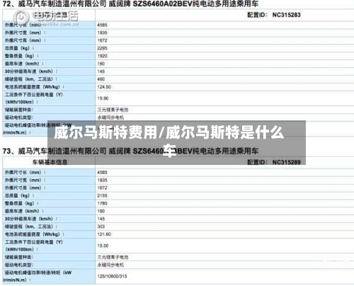 威尔马斯特费用/威尔马斯特是什么车