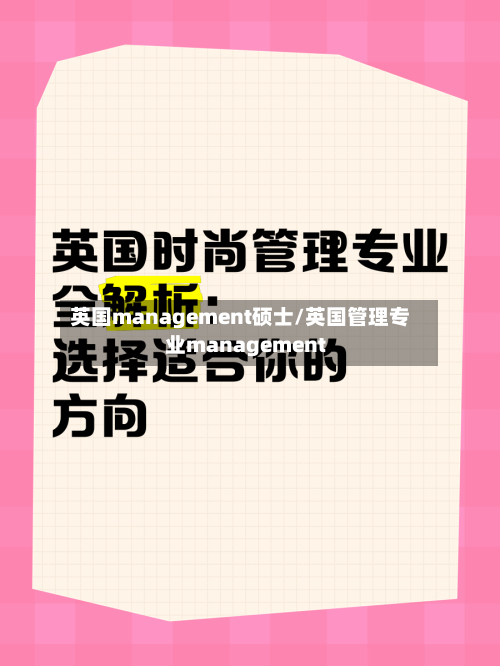 英国management硕士/英国管理专业management