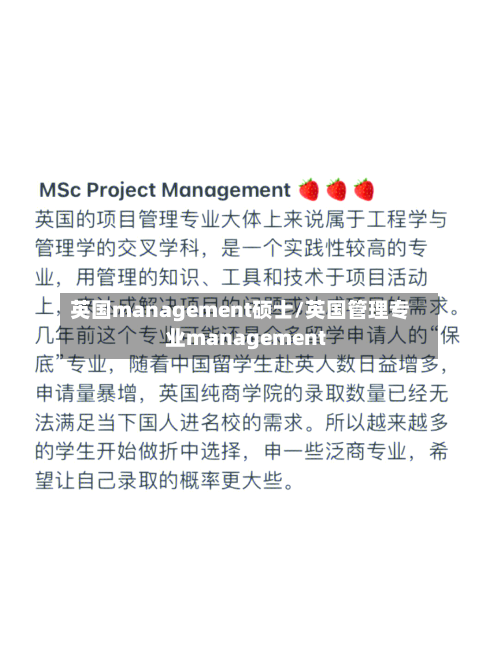 英国management硕士/英国管理专业management-第3张图片