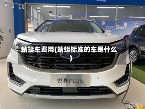 蜻蜓车费用(蜻蜓标准的车是什么)