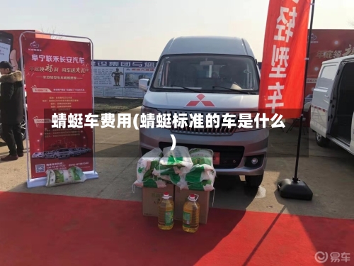 蜻蜓车费用(蜻蜓标准的车是什么)-第2张图片