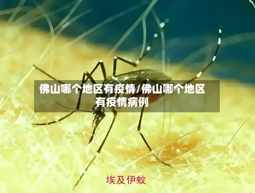 佛山哪个地区有疫情/佛山哪个地区有疫情病例-第2张图片