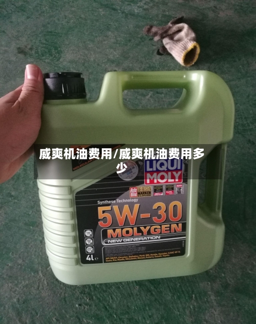 威爽机油费用/威爽机油费用多少