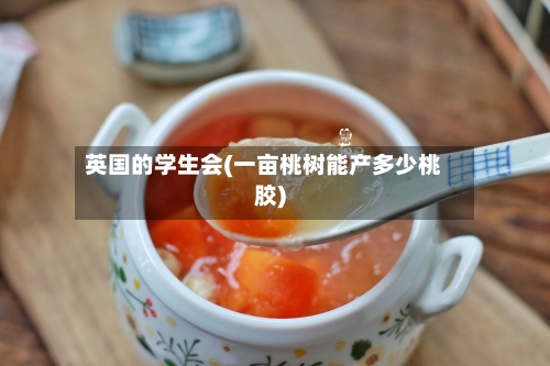 英国的学生会(一亩桃树能产多少桃胶)-第3张图片