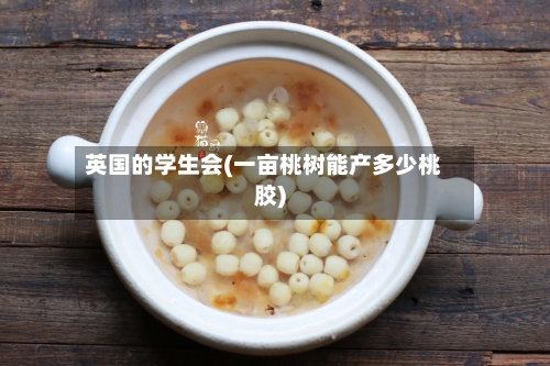 英国的学生会(一亩桃树能产多少桃胶)