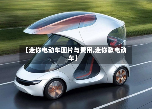 【迷你电动车图片与费用,迷你款电动车】-第2张图片