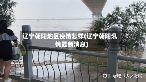 辽宁朝阳地区疫情怎样(辽宁朝阳汛情最新消息)-第3张图片