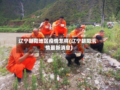 辽宁朝阳地区疫情怎样(辽宁朝阳汛情最新消息)