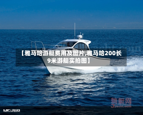 【雅马哈游艇费用及图片,雅马哈200长9米游艇实拍图】-第2张图片