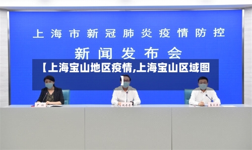 【上海宝山地区疫情,上海宝山区域图】-第2张图片