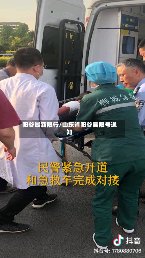阳谷最新限行/山东省阳谷县限号通知-第2张图片