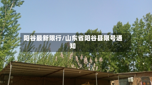 阳谷最新限行/山东省阳谷县限号通知