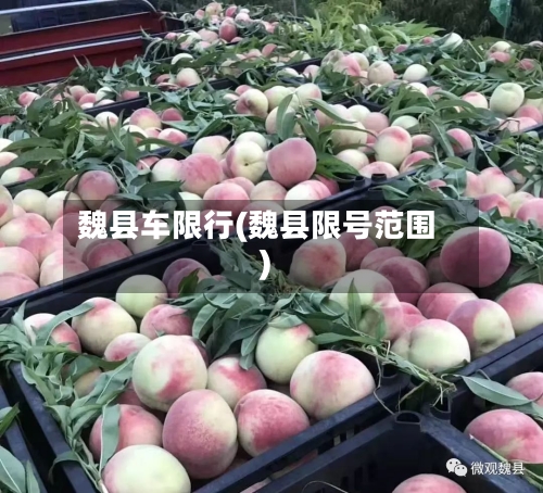 魏县车限行(魏县限号范围)