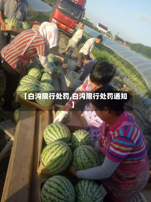 【白沟限行处罚,白沟限行处罚通知】-第3张图片