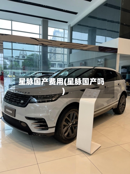 星脉国产费用(星脉国产吗)