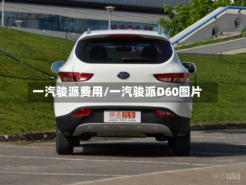一汽骏派费用/一汽骏派D60图片
