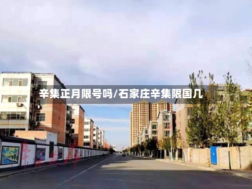 辛集正月限号吗/石家庄辛集限国几