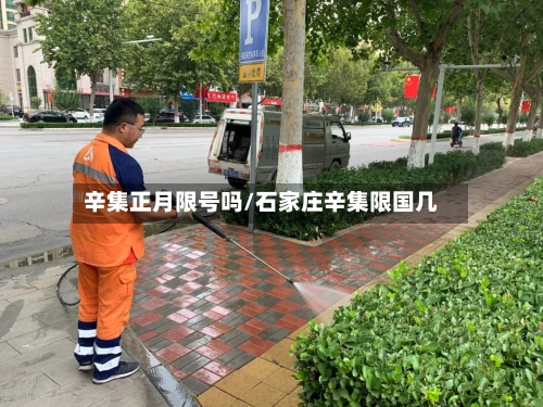 辛集正月限号吗/石家庄辛集限国几-第3张图片