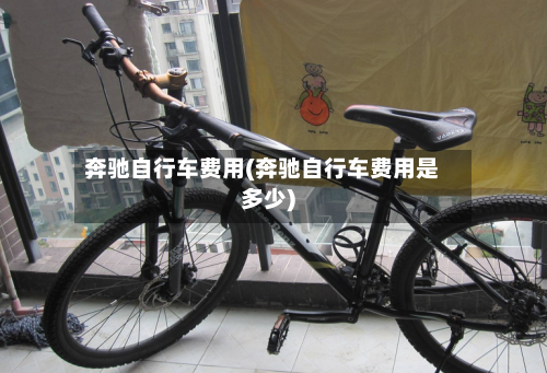 奔驰自行车费用(奔驰自行车费用是多少)