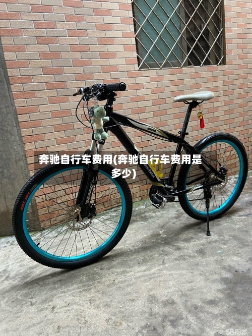 奔驰自行车费用(奔驰自行车费用是多少)-第2张图片