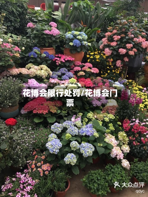 花博会限行处罚/花博会门票-第3张图片
