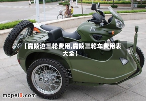 【嘉陵边三轮费用,嘉陵三轮车费用表大全】-第3张图片