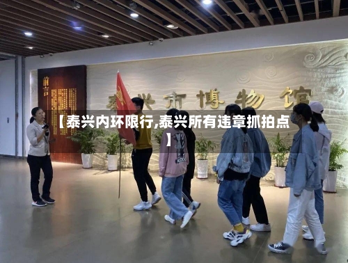 【泰兴内环限行,泰兴所有违章抓拍点】-第2张图片
