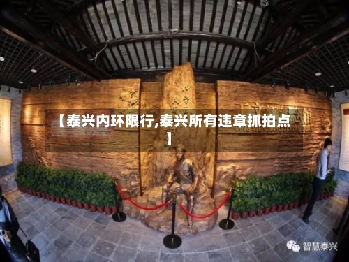 【泰兴内环限行,泰兴所有违章抓拍点】-第3张图片