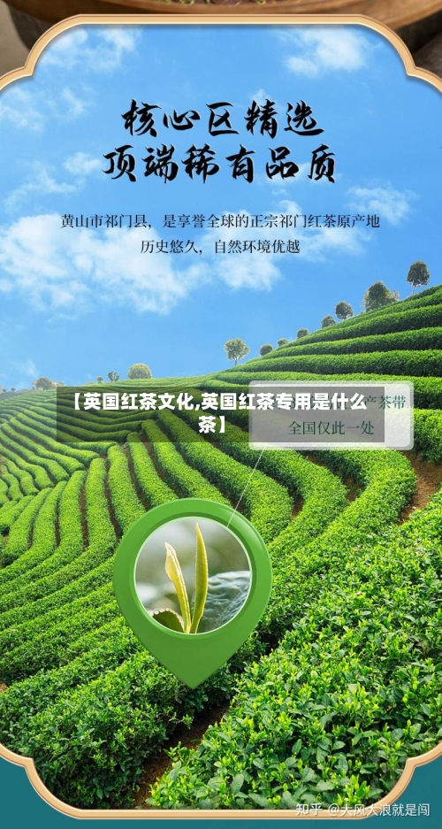 【英国红茶文化,英国红茶专用是什么茶】-第2张图片