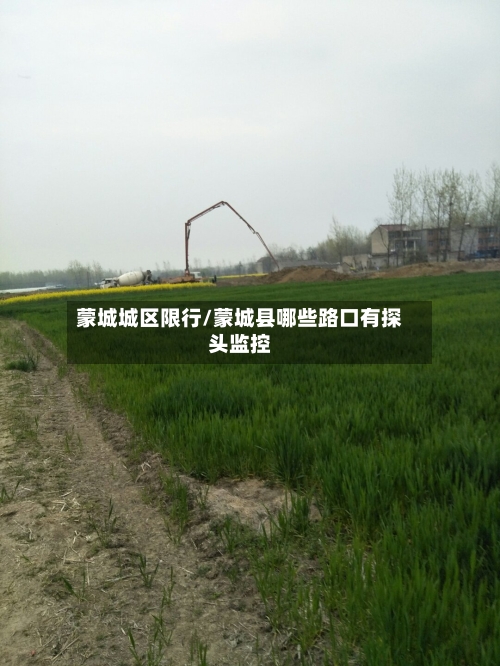 蒙城城区限行/蒙城县哪些路口有探头监控-第2张图片