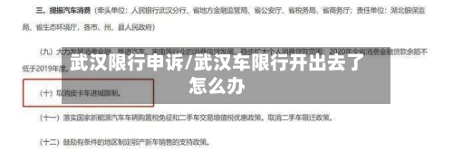 武汉限行申诉/武汉车限行开出去了怎么办-第3张图片