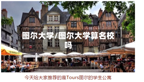 图尔大学/图尔大学算名校吗