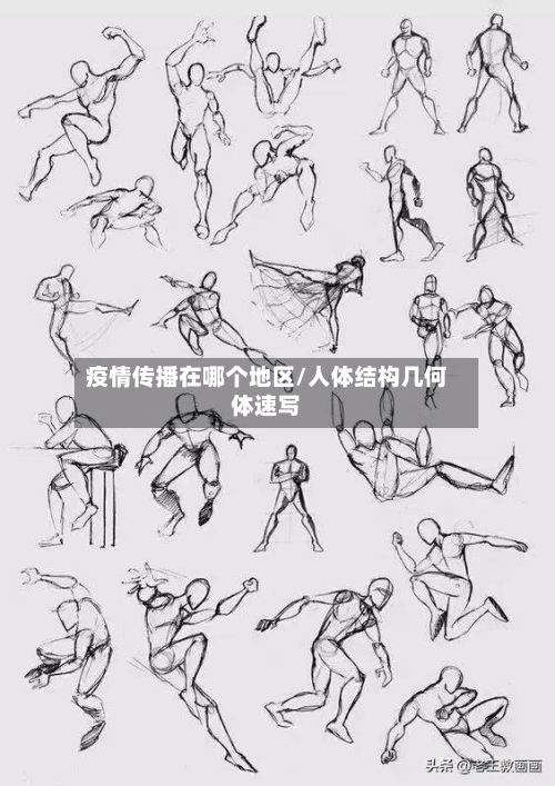 疫情传播在哪个地区/人体结构几何体速写