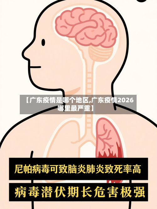 【广东疫情是哪个地区,广东疫情2026哪里最严重】-第2张图片