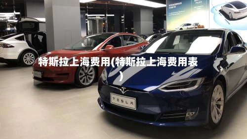 特斯拉上海费用(特斯拉上海费用表)