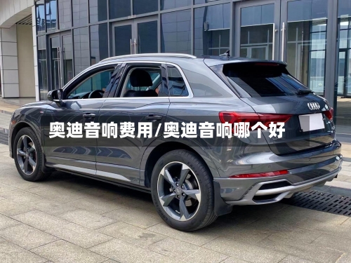 奥迪音响费用/奥迪音响哪个好