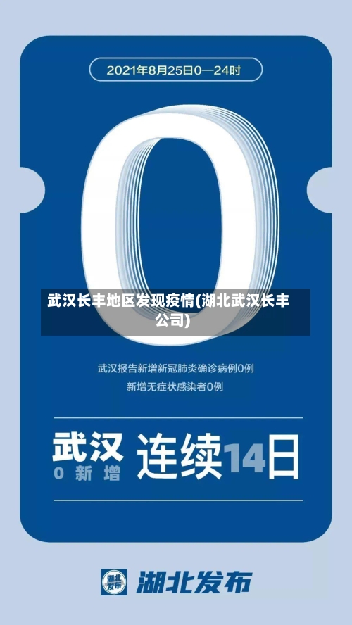 武汉长丰地区发现疫情(湖北武汉长丰公司)-第2张图片