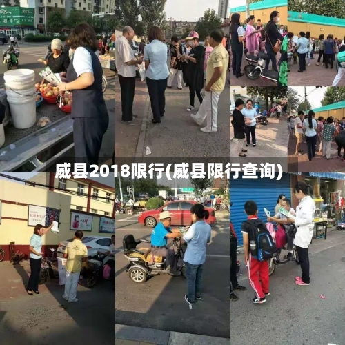 威县2018限行(威县限行查询)