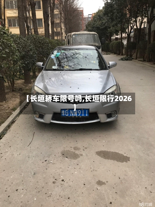 【长垣轿车限号吗,长垣限行2026】
