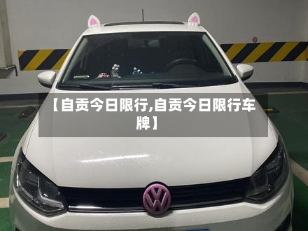 【自贡今日限行,自贡今日限行车牌】-第2张图片