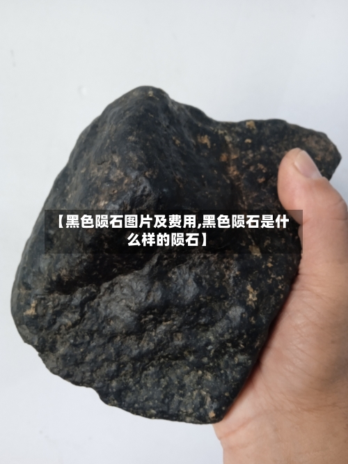 【黑色陨石图片及费用,黑色陨石是什么样的陨石】-第3张图片