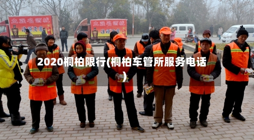 2020桐柏限行(桐柏车管所服务电话)-第3张图片