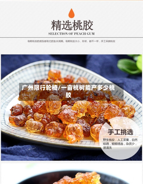 广州限行轮椅/一亩桃树能产多少桃胶-第2张图片